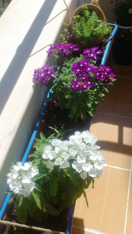 Name:  012.jpg
Views: 454
Size:  49.8 KB
