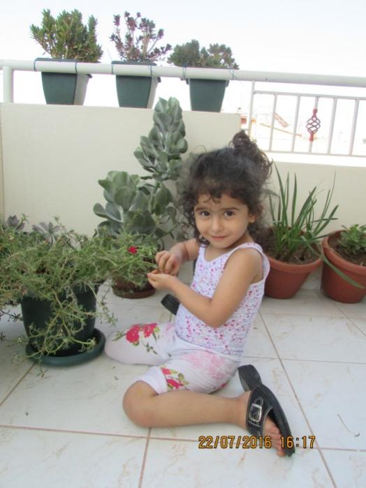 Name:  IMG_3771.jpg
Views: 497
Size:  45.3 KB