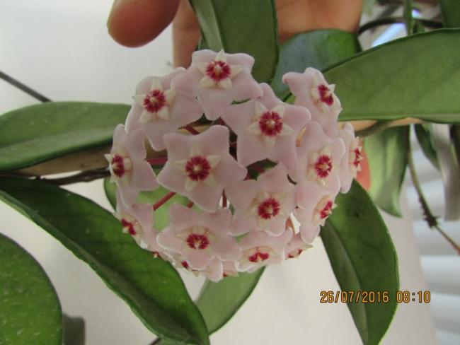 Name:  IMG_3778.jpg
Views: 522
Size:  32.8 KB