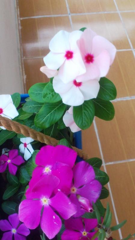 Name:  038.jpg
Views: 341
Size:  39.0 KB