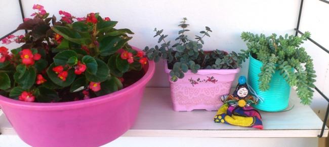 Name:  051.jpg
Views: 355
Size:  29.1 KB