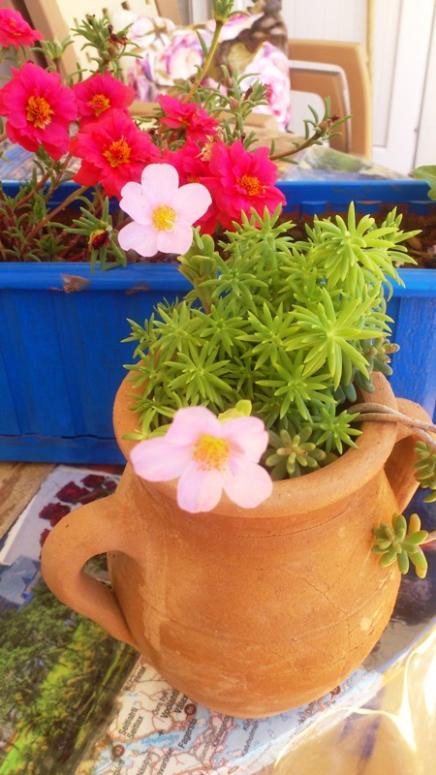 Name:  010.jpg
Views: 351
Size:  57.7 KB