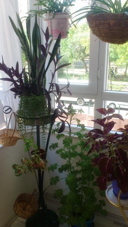 Name:  048.jpg
Views: 358
Size:  57.0 KB