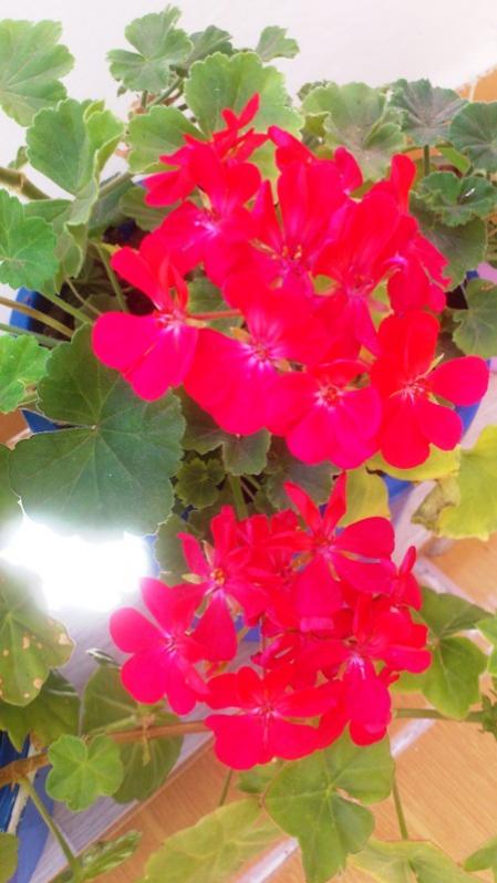 Name:  012.jpg
Views: 340
Size:  49.3 KB