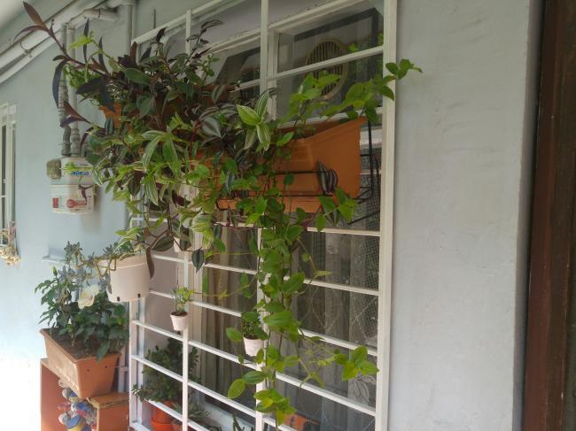 Name:  20160727_152151-1.jpg
Views: 297
Size:  48.0 KB
