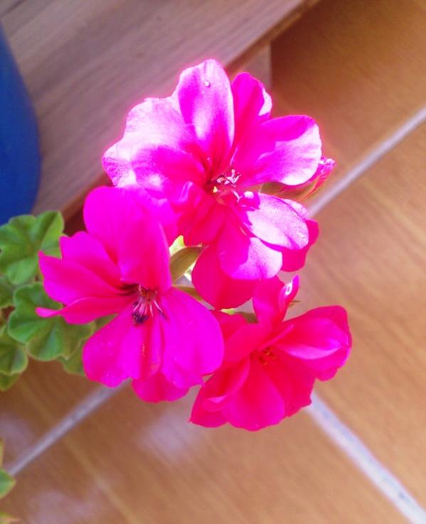 Name:  040.jpg
Views: 517
Size:  39.7 KB