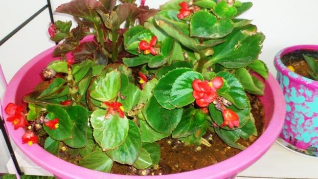 Name:  095.jpg
Views: 527
Size:  47.5 KB