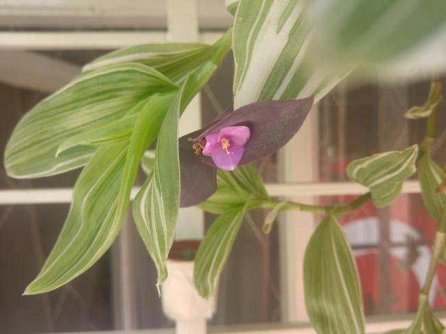 Name:  20160811_140748-1.jpg
Views: 330
Size:  31.5 KB