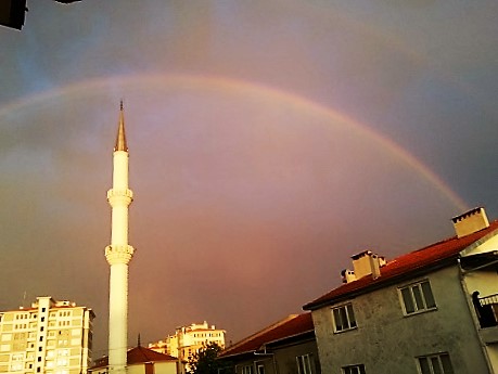 Name:  gkkua.jpg
Views: 816
Size:  59.2 KB