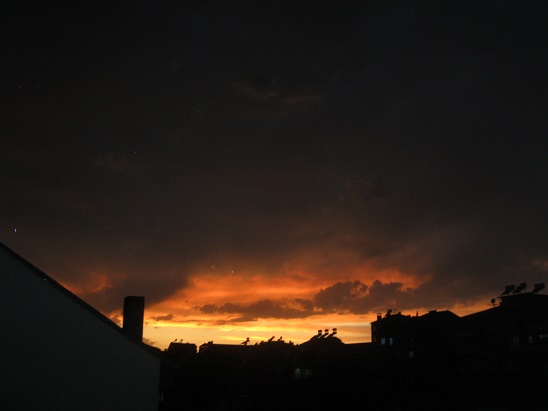 Name:  terasta gn b.1.jpg
Views: 945
Size:  42.4 KB