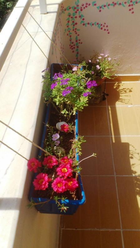 Name:  026.jpg
Views: 393
Size:  44.7 KB