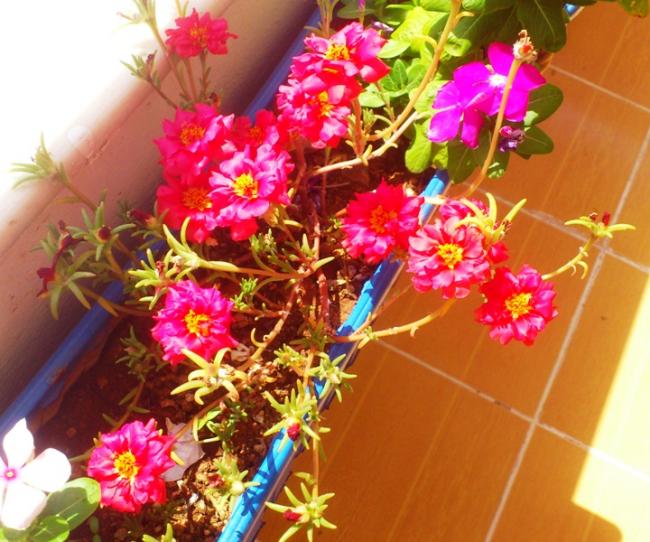 Name:  039.jpg
Views: 409
Size:  62.6 KB
