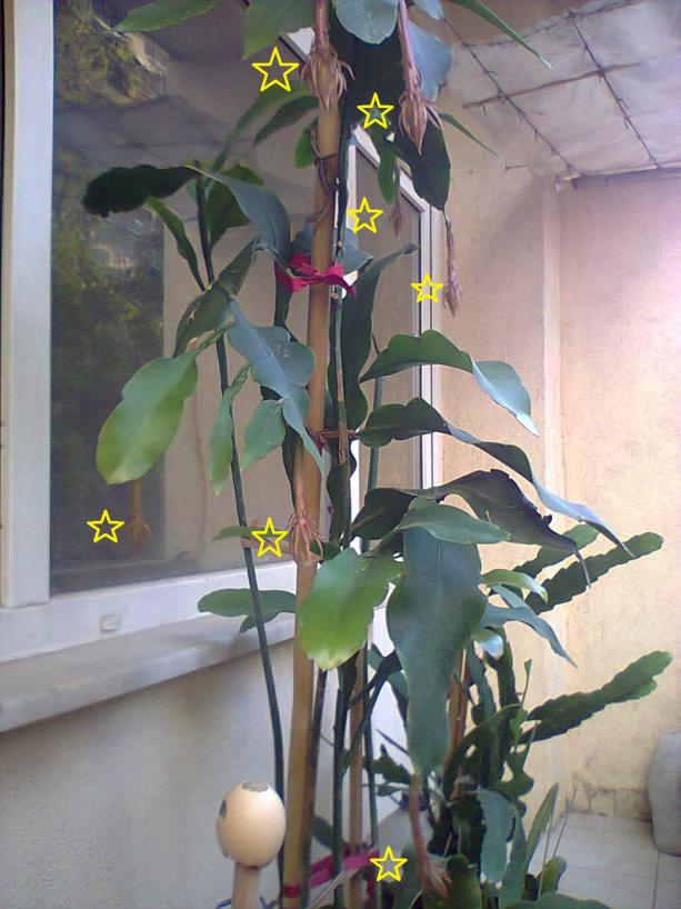 Name:  1.jpg
Views: 542
Size:  71.1 KB