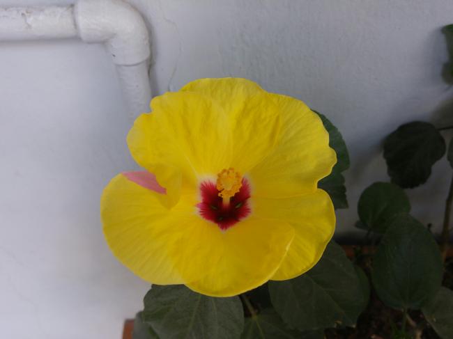 Name:  20160908_093049-1.jpg
Views: 554
Size:  21.2 KB