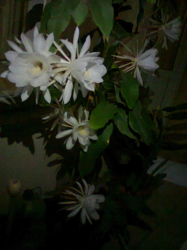 Name:  6 az kla ekim.jpg
Views: 383
Size:  58.6 KB