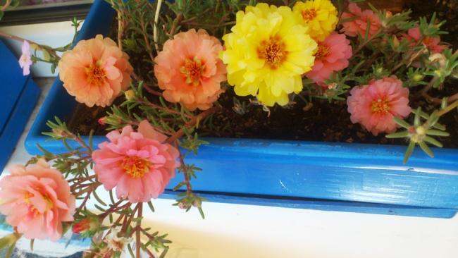 Name:  052.jpg
Views: 311
Size:  40.6 KB
