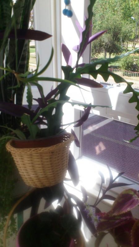Name:  048.jpg
Views: 338
Size:  47.1 KB