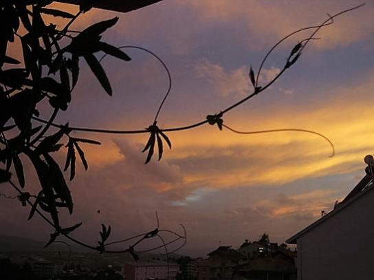 Name:  akam1.jpg
Views: 732
Size:  25.2 KB