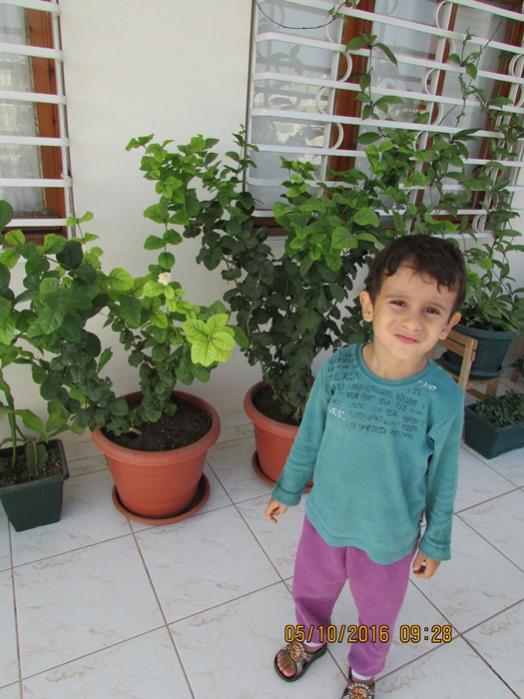 Name:  IMG_3884.jpg
Views: 700
Size:  57.3 KB