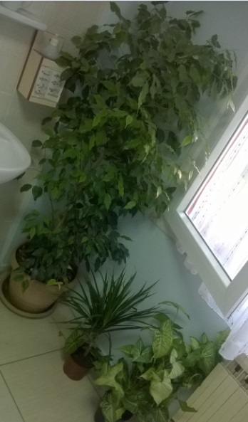 Name:  toplu 2 05.10.2016.jpg
Views: 1065
Size:  58.5 KB