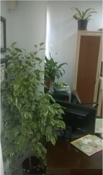 Name:  toplu 3 05.10.2016.jpg
Views: 1264
Size:  58.0 KB