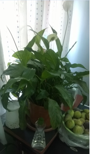 Name:  unuttum 05.10.2016.jpg
Views: 1002
Size:  55.6 KB