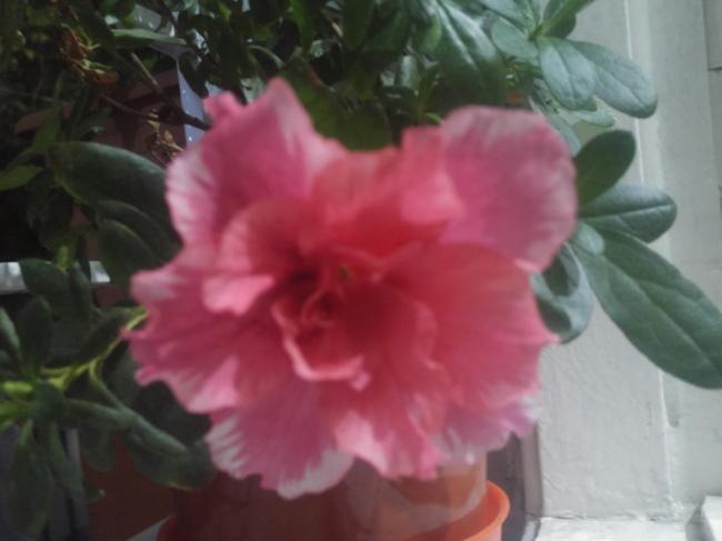 Name:  20161003_233320-1.jpg
Views: 411
Size:  28.4 KB