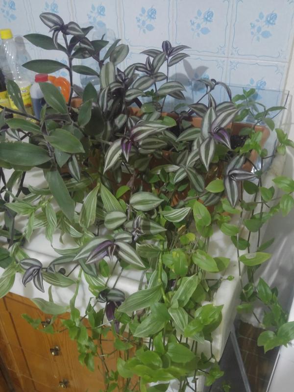 Name:  20161003_233513-1.jpg
Views: 409
Size:  72.1 KB