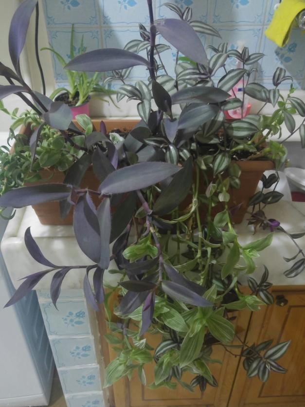 Name:  20161003_233518-1.jpg
Views: 413
Size:  71.4 KB