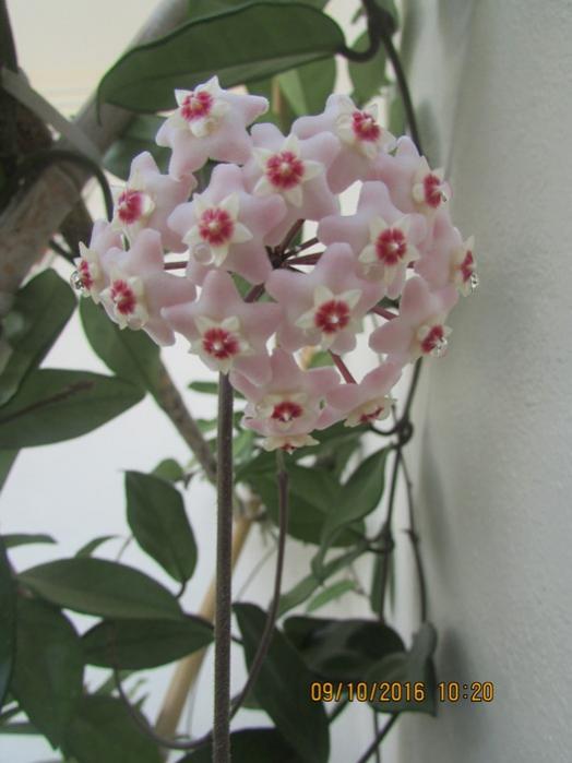 Name:  IMG_3905.jpg
Views: 747
Size:  39.1 KB