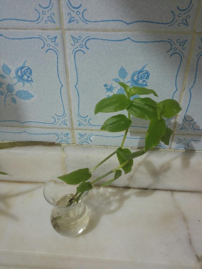 Name:  20161010_004733-1.jpg
Views: 355
Size:  49.5 KB