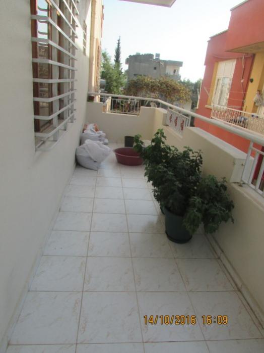 Name:  IMG_3931.jpg
Views: 651
Size:  36.8 KB