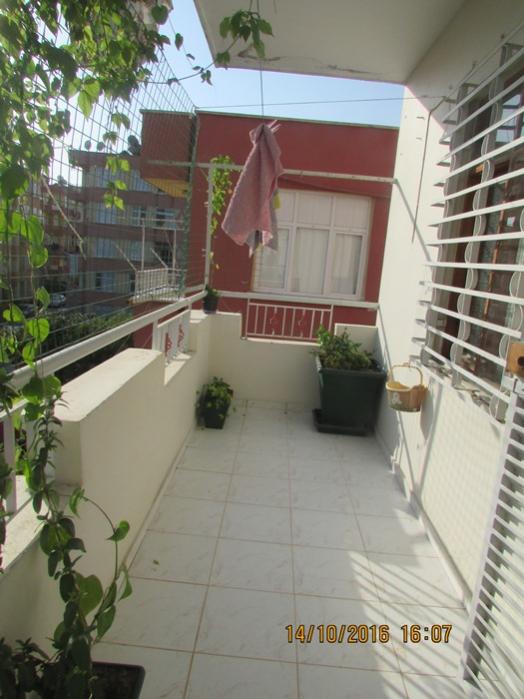 Name:  IMG_3930.jpg
Views: 645
Size:  54.7 KB