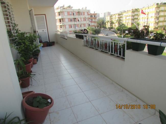 Name:  IMG_3926.jpg
Views: 650
Size:  38.5 KB
