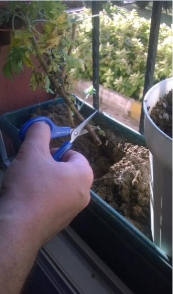 Name:  tr operasyonu3 26.10.jpg
Views: 804
Size:  30.7 KB