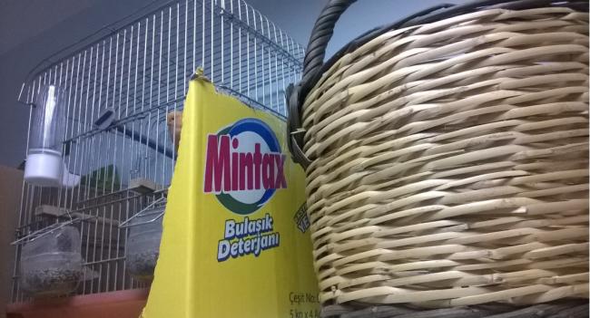 Name:  mintax-sepet.jpg
Views: 790
Size:  46.6 KB