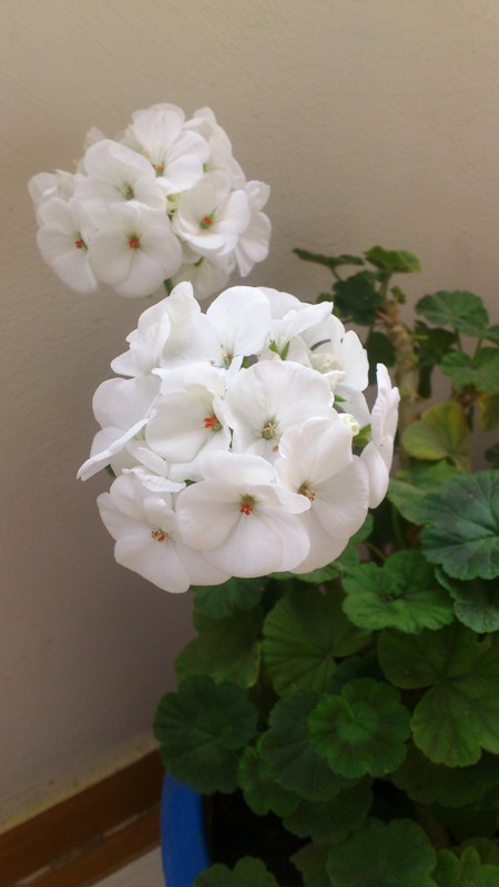 Name:  125.jpg
Views: 525
Size:  62.6 KB