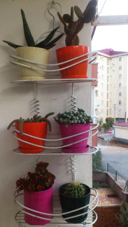 Name:  036.jpg
Views: 514
Size:  44.8 KB