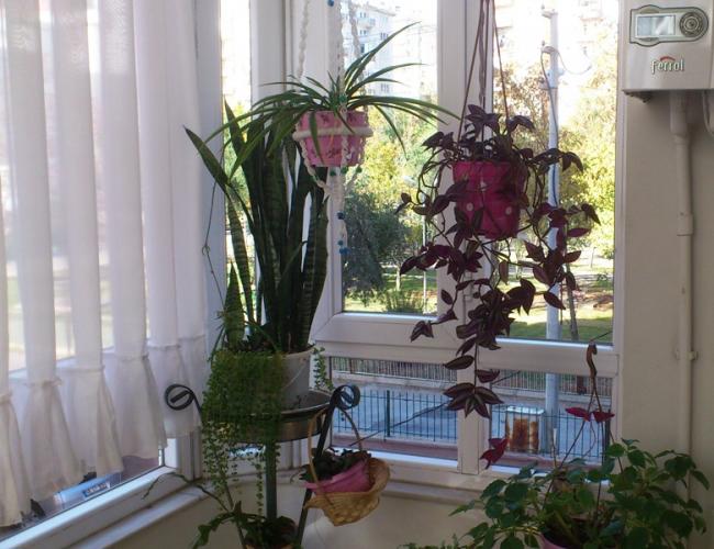 Name:  011.jpg
Views: 507
Size:  54.9 KB