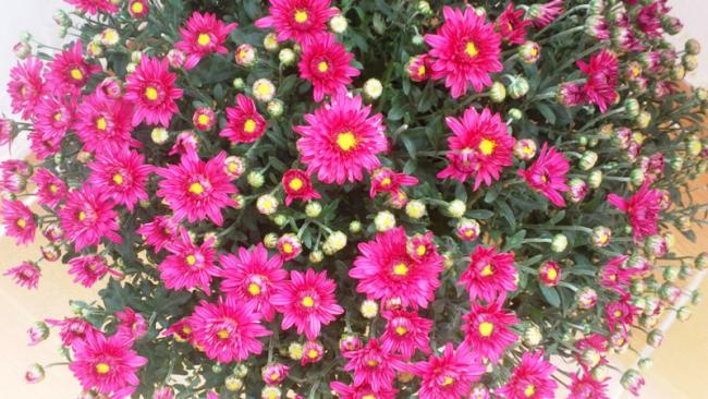 Name:  118.jpg
Views: 522
Size:  63.5 KB
