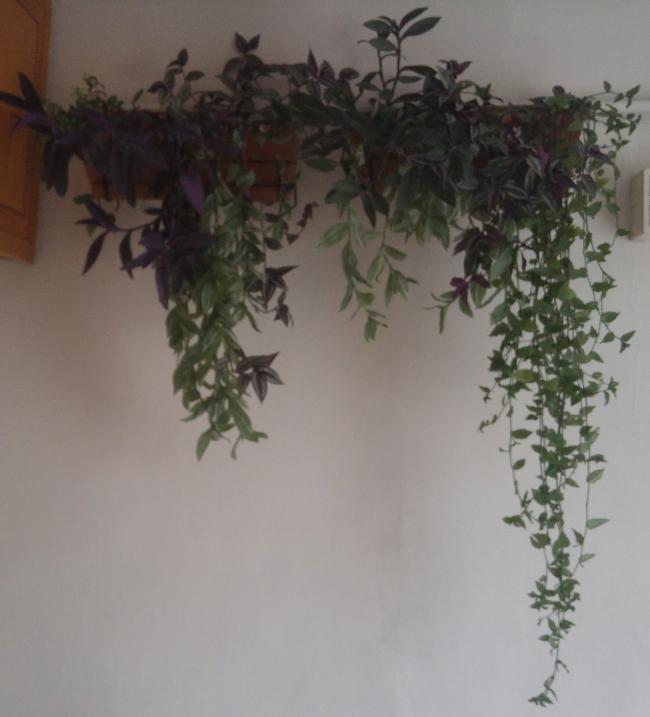 Name:  20161112_160722-1.jpg
Views: 601
Size:  36.3 KB