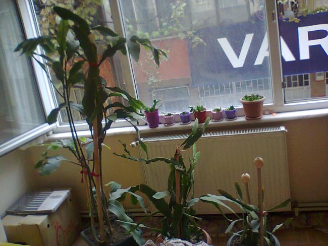 Name:  klk.jpg
Views: 468
Size:  51.3 KB