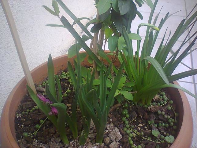 Name:  Ekran Alntsd.JPG
Views: 764
Size:  69.3 KB