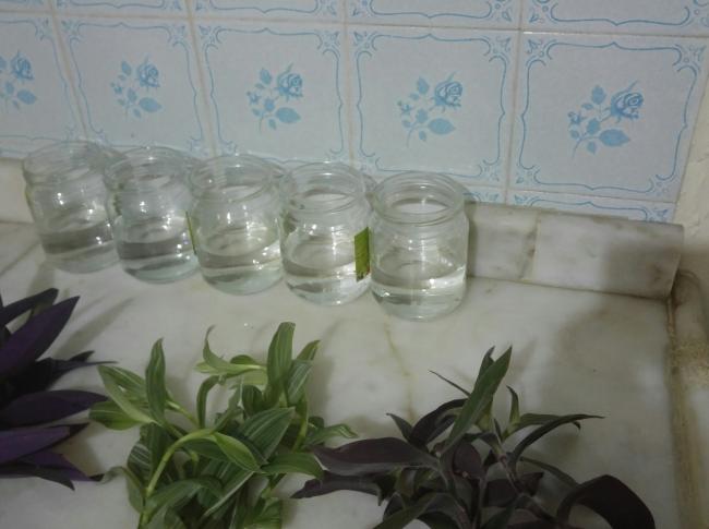 Name:  20161130_011911-1.jpg
Views: 459
Size:  33.2 KB
