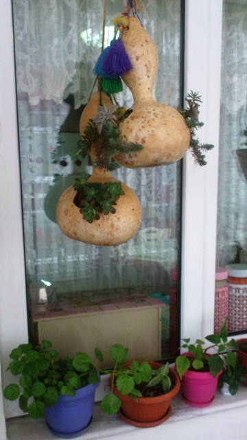 Name:  024.jpg
Views: 402
Size:  60.4 KB