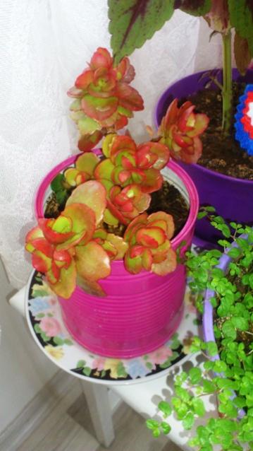 Name:  027.jpg
Views: 400
Size:  37.5 KB