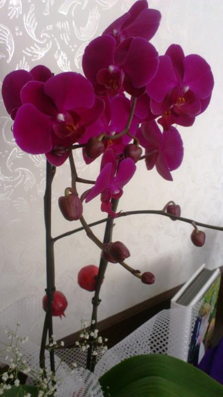 Name:  008.jpg
Views: 479
Size:  42.1 KB