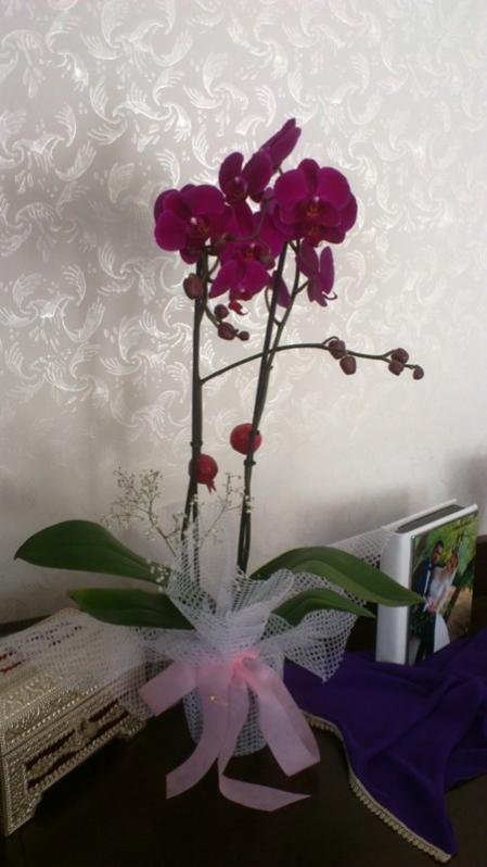 Name:  011.jpg
Views: 492
Size:  42.1 KB
