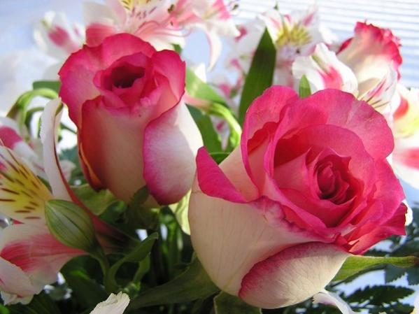 Name:  en-guzel-gul-resimleri-3.jpg
Views: 398
Size:  38.4 KB