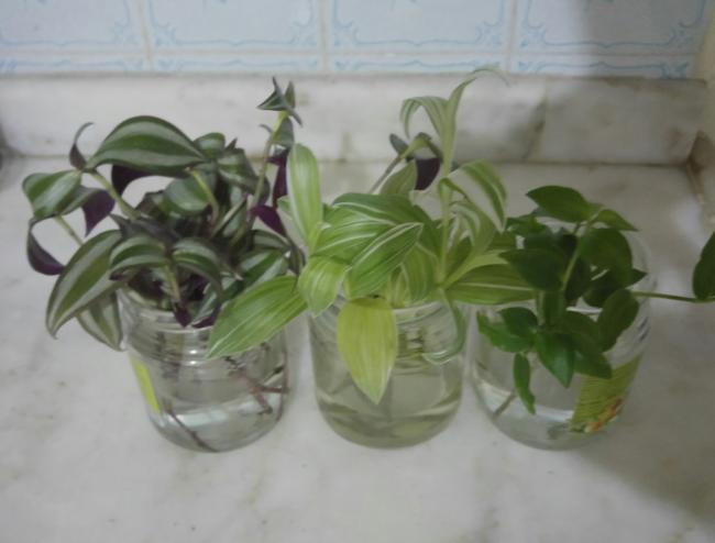 Name:  20170128_022415-1.jpg
Views: 703
Size:  28.9 KB